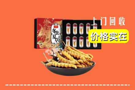 保山施甸县回收冬虫夏草
